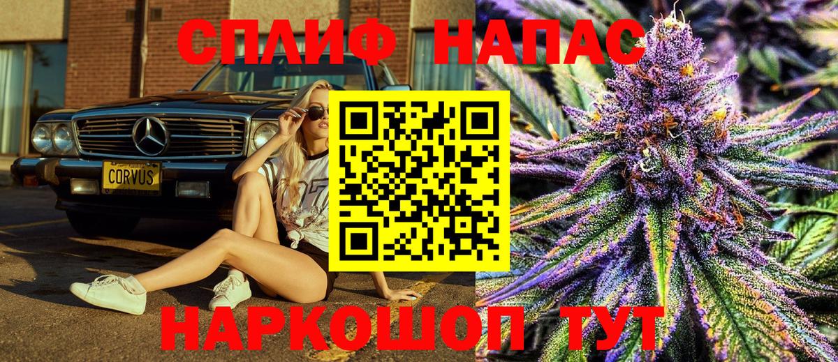 Каннабис SATIVA & INDICA Апшеронск